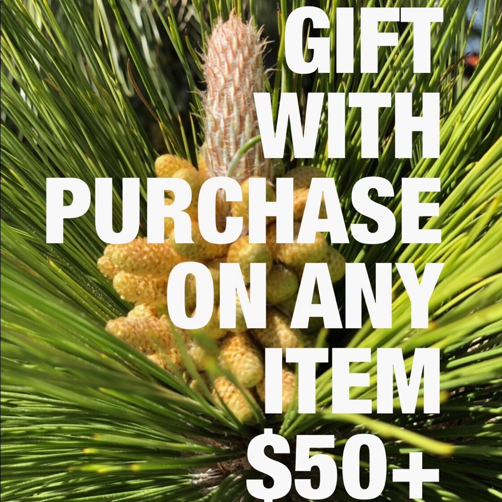 GIFT WITH PURCHASE ON ANY ITEM $50+